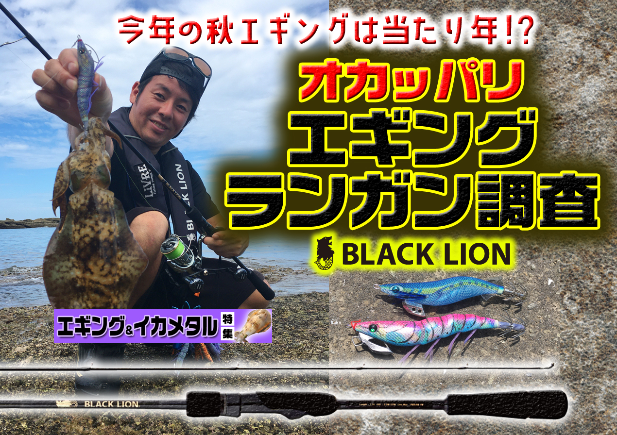 秋のエギング特集 Blacklion ブラックライオン 公式サイト エギング ティップラン イカメタル